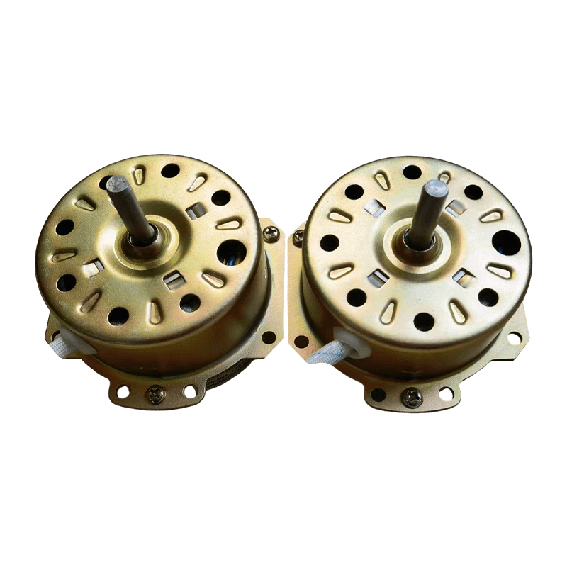 YYHS-65 迷你洗衣机电机